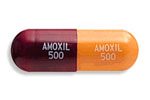 Generic Amoxicillin