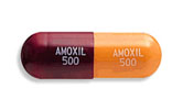 Generic Amoxicillin